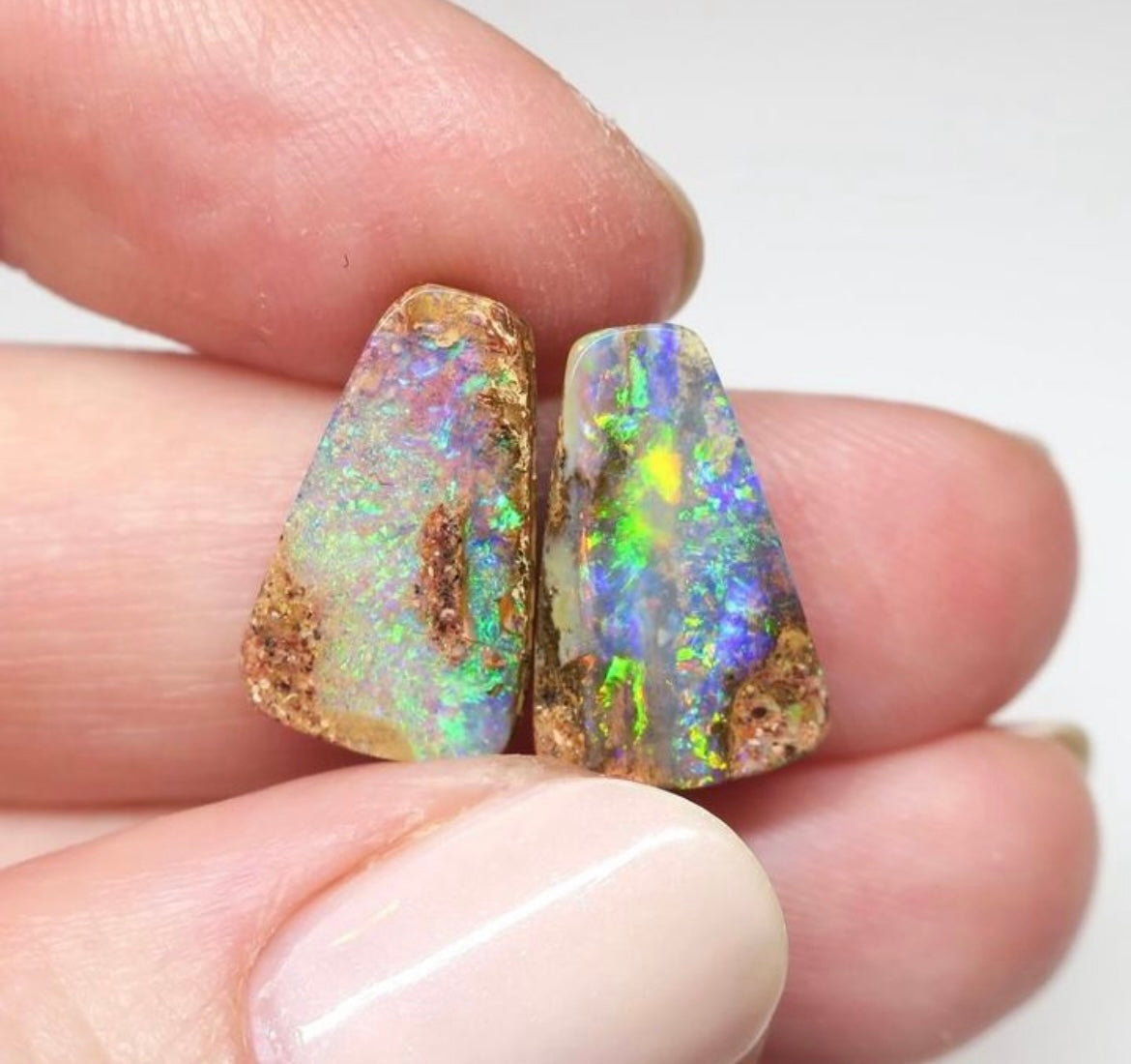 Coffin shaped Wood Opal Pair