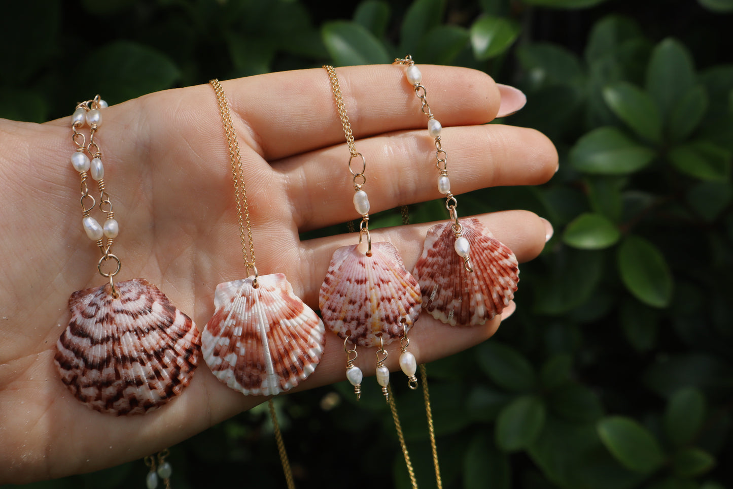 Florida scallop Calico shells in 14k Gold fill
