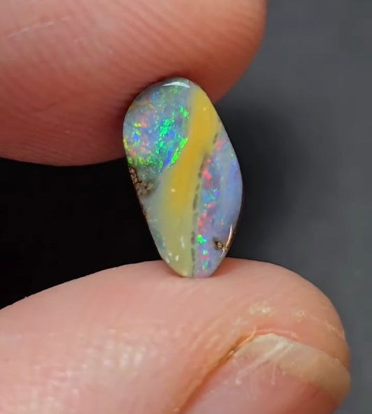 Petite rainbow color beauty