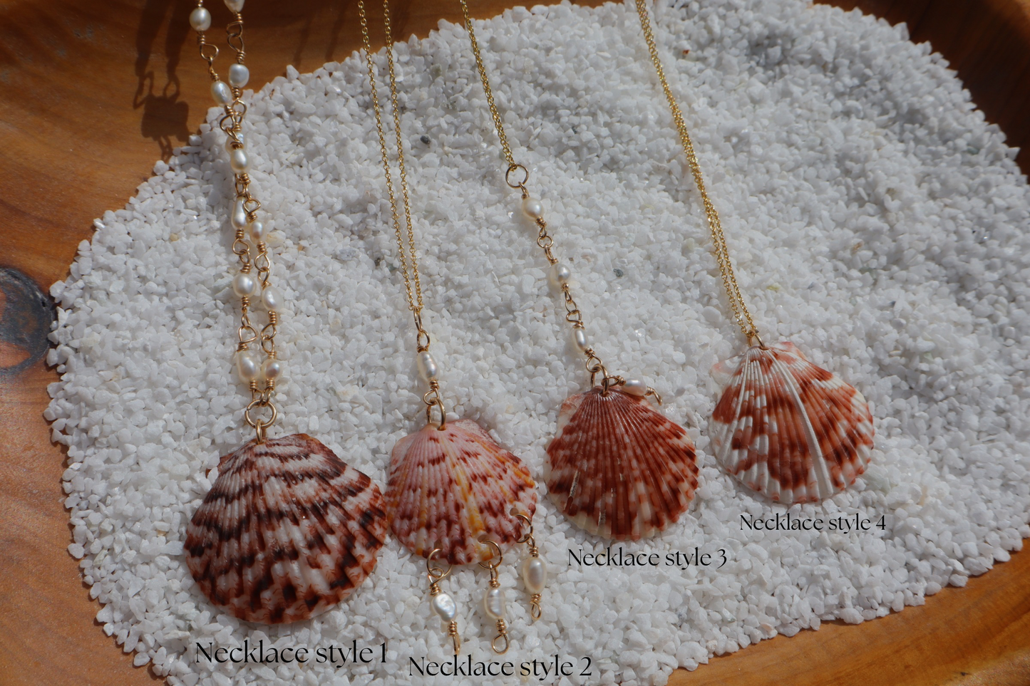 Florida scallop Calico shells in 14k Gold fill