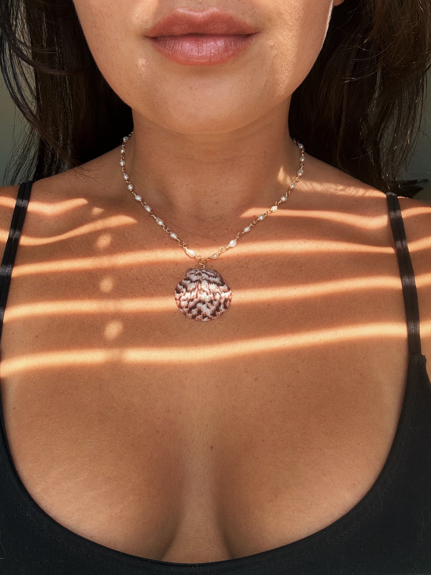 Florida scallop Calico shells in 14k Gold fill