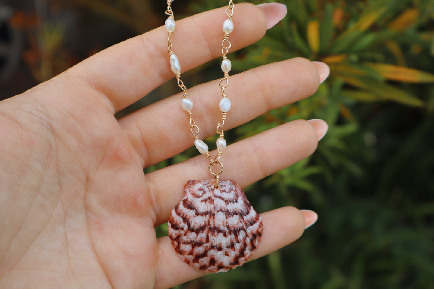 Florida scallop Calico shells in 14k Gold fill