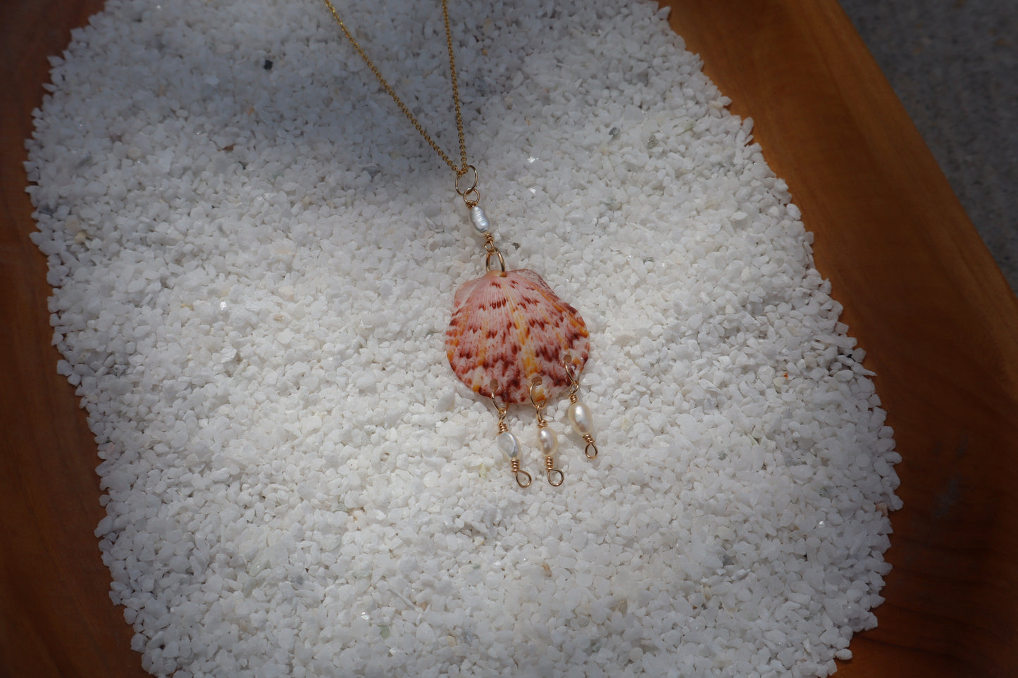 Florida scallop Calico shells in 14k Gold fill