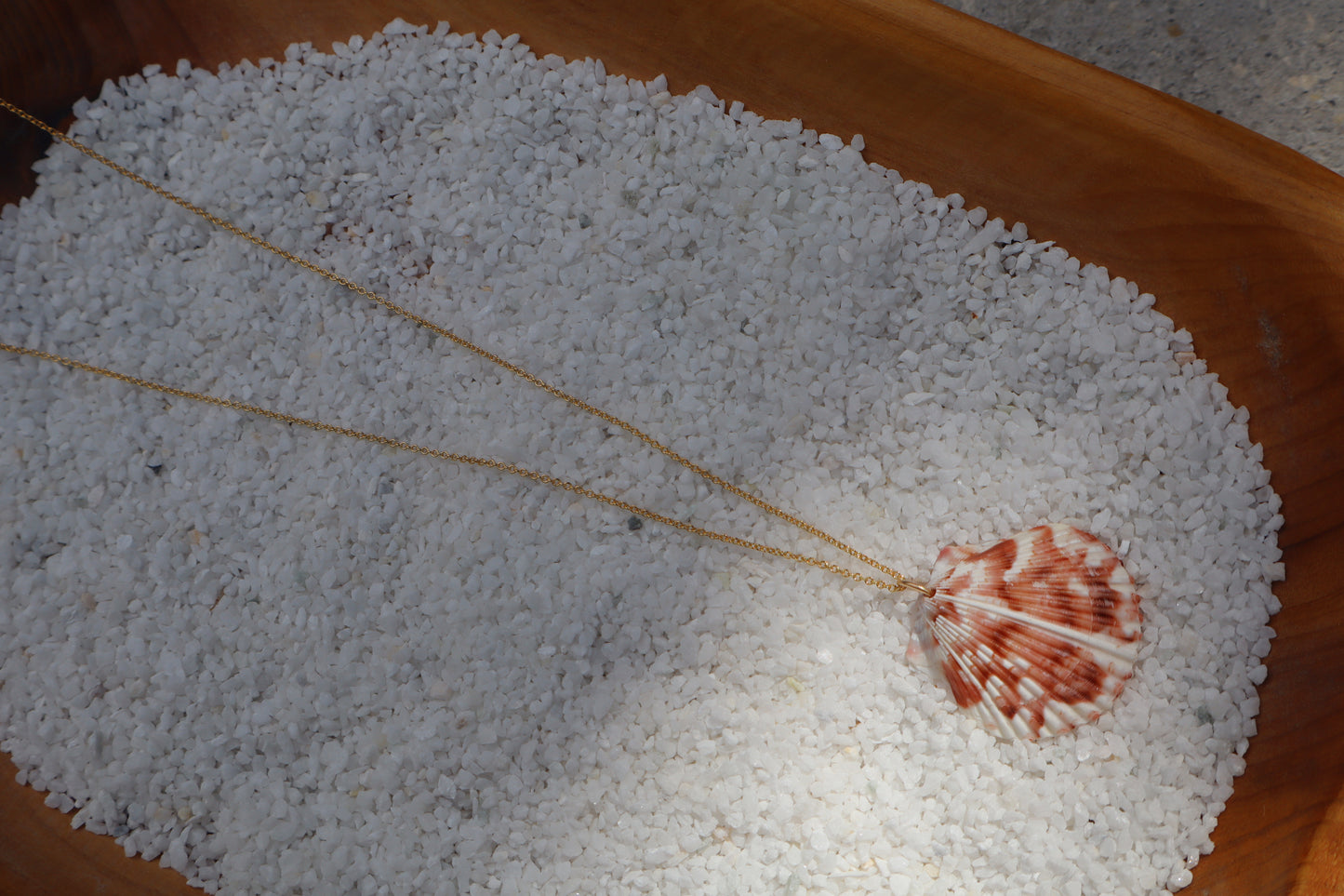 Florida scallop Calico shells in 14k Gold fill