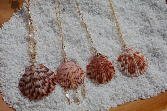 Florida scallop Calico shells in 14k Gold fill