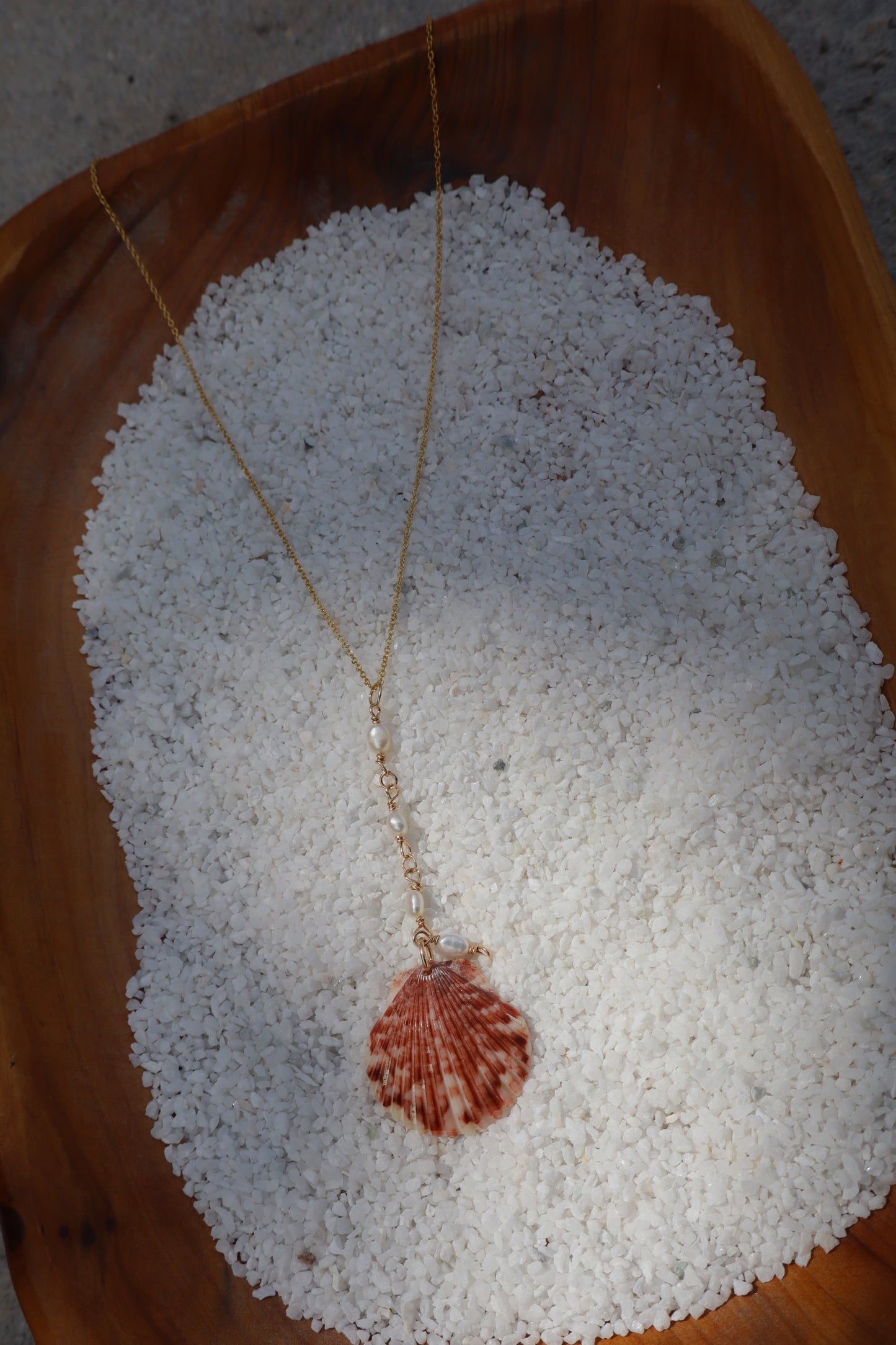 Florida scallop Calico shells in 14k Gold fill